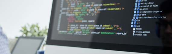 WordPress Site Development cost in India